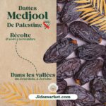 Dattes medjool de Palestine