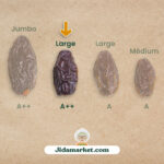 Dattes medjool de palestine