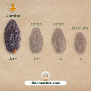 Dattes medjool de palestine