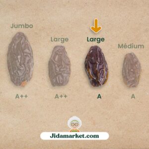 Dattes medjool de palestine