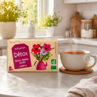 Infusion détox, boite de 20 sachets