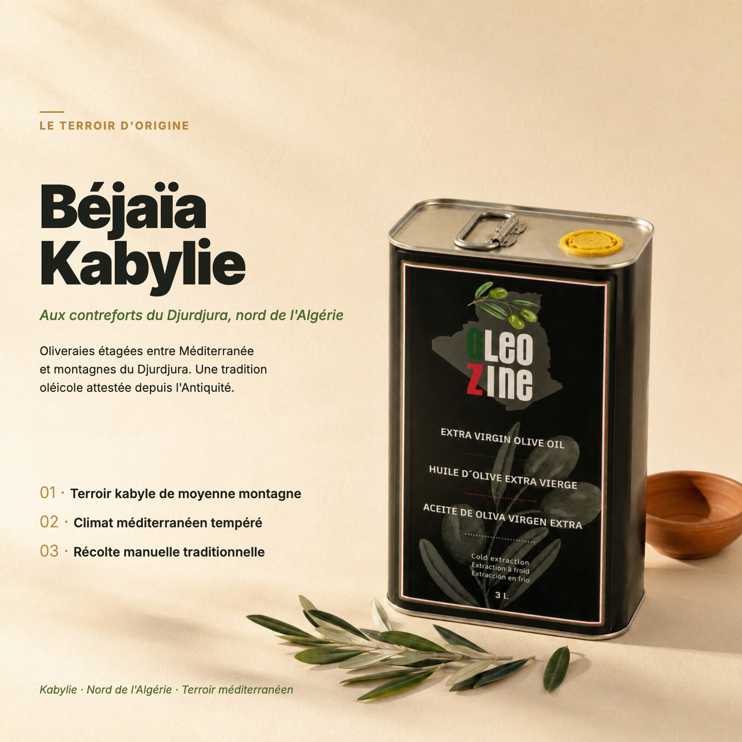 Huile extra vierge de Kabylie (Bejaia)